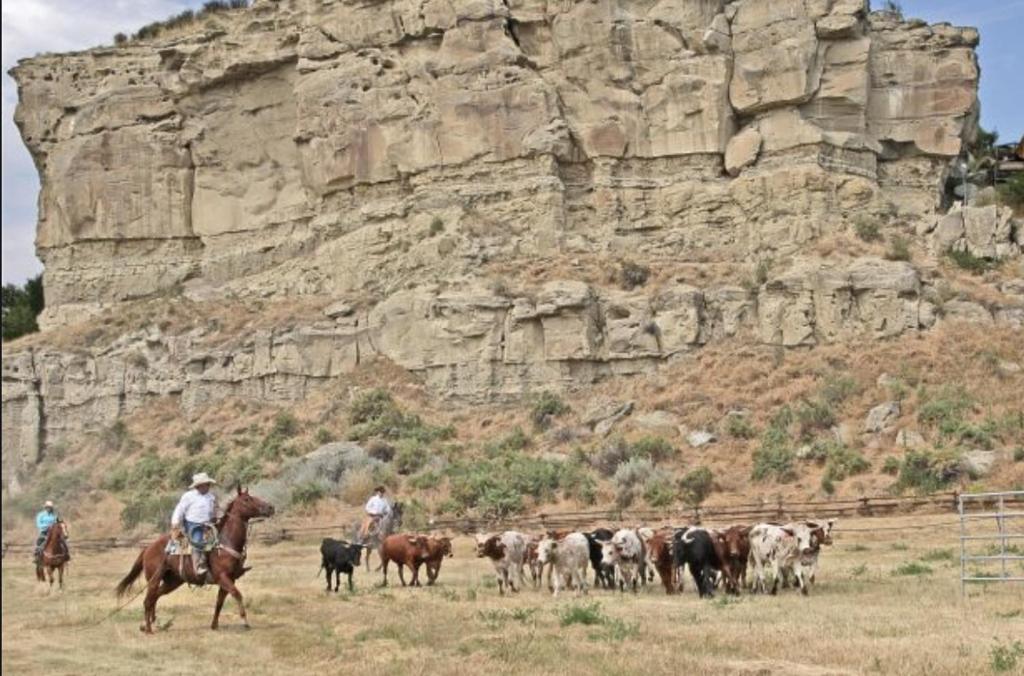 Montana Inn Near Little Big Horn Battlefield-Pompey Piller-Colstrip Forsyth Екстериор снимка